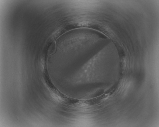 X0000070340648200606091027