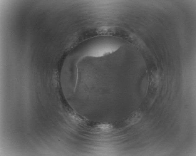 X0000070340659200606091027