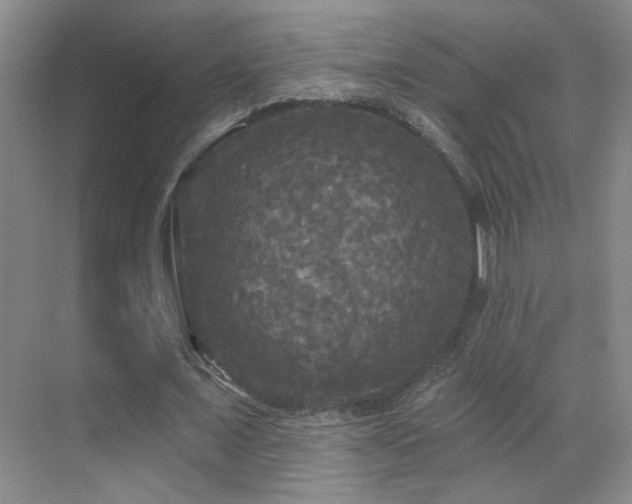 X0000070340675200606091027
