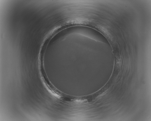 X0000070340678200606091027