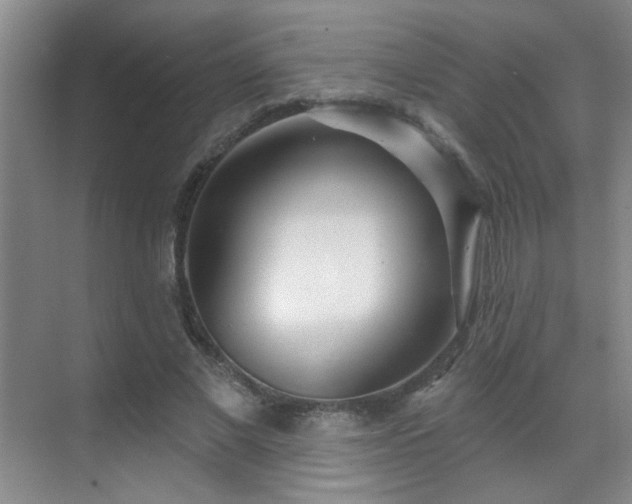 X0000070340685200606091027