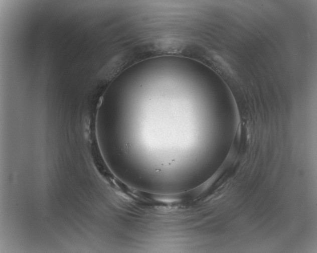 X0000070340693200606091026