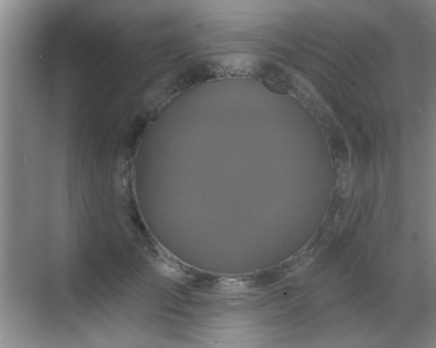 X0000070340701200606091026