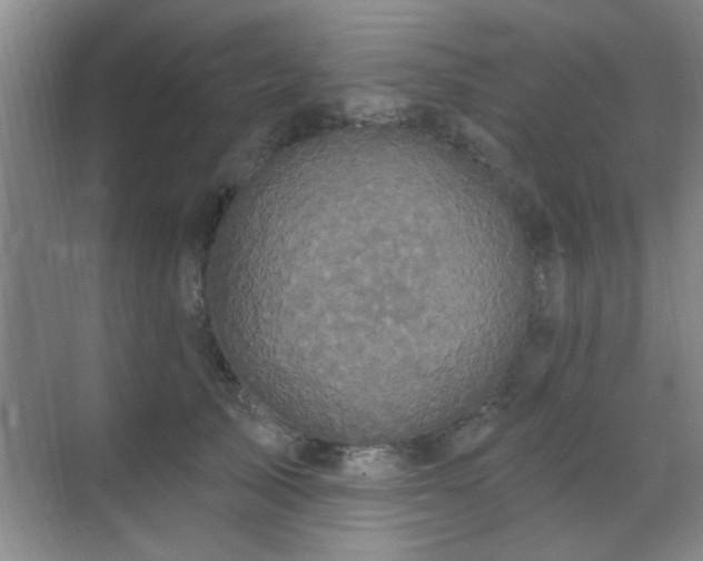 X0000070340705200606091026
