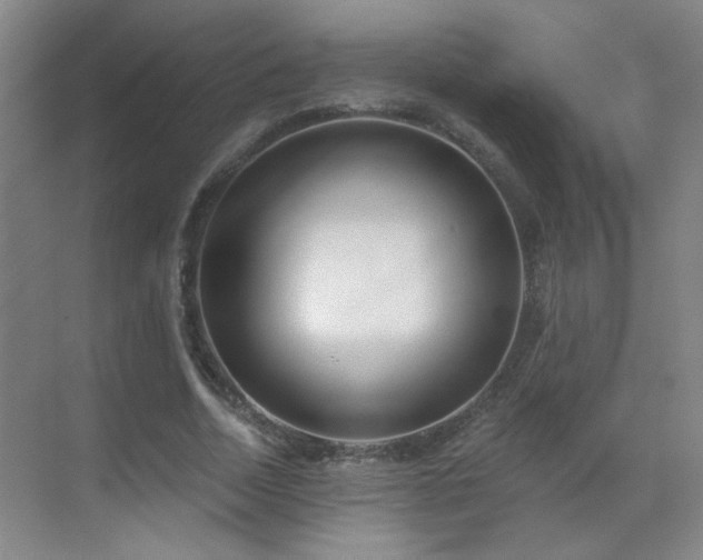 X0000070340730200606091025
