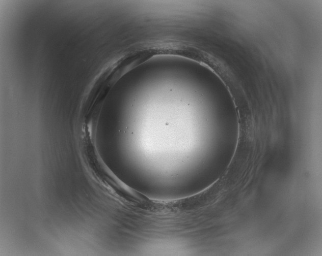 X0000070340731200606091025