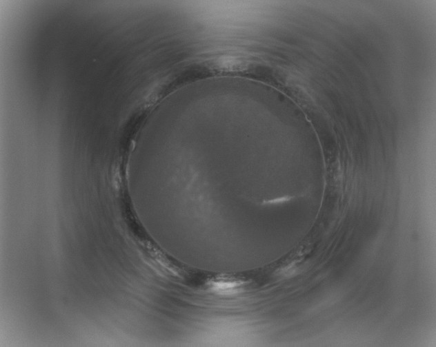 X0000070340746200606091026