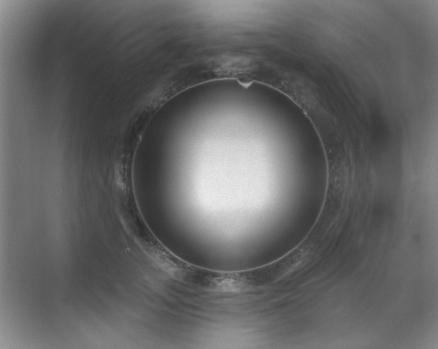 X0000070340755200606091026