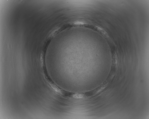 X0000070340762200606091026