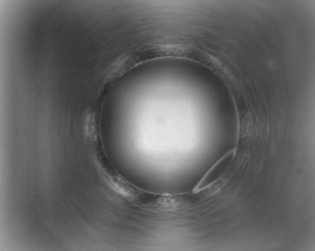 X0000070340764200606091026
