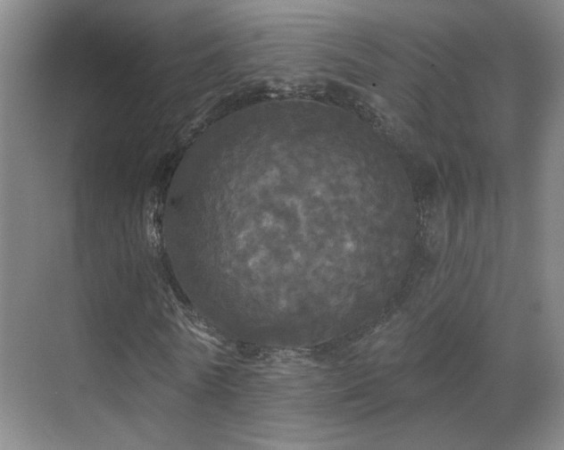 X0000070340770200606091025