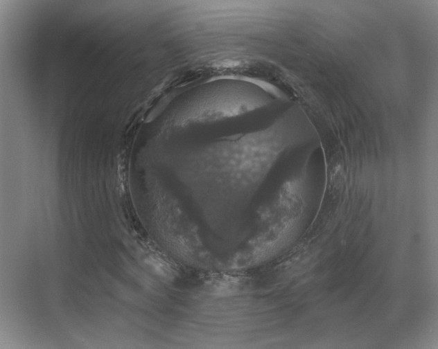 X0000070340772200606091025