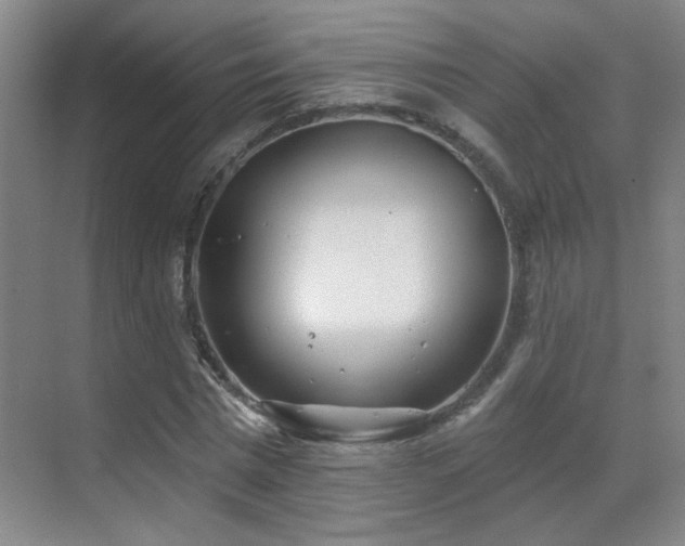 X0000070340777200606091025
