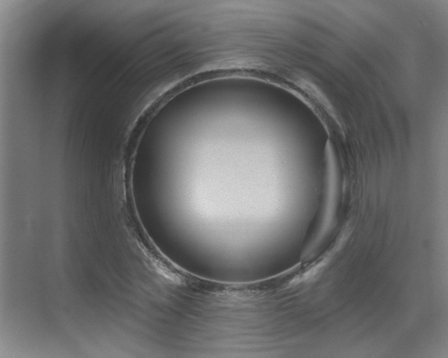 X0000070340781200606091025