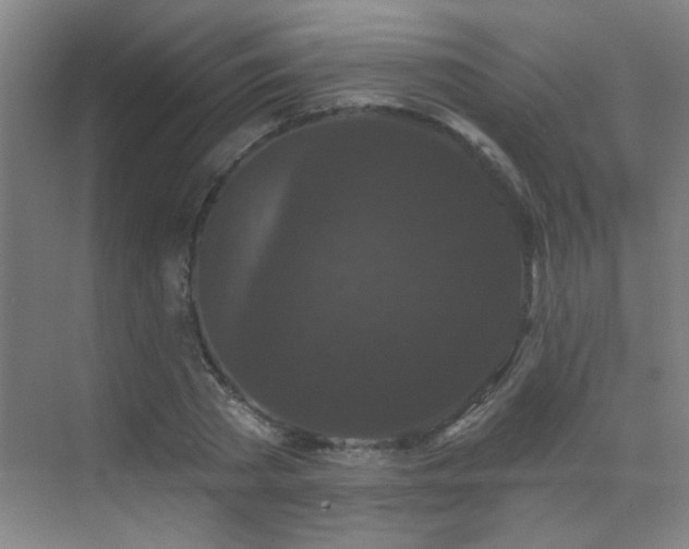X0000070340785200606091025