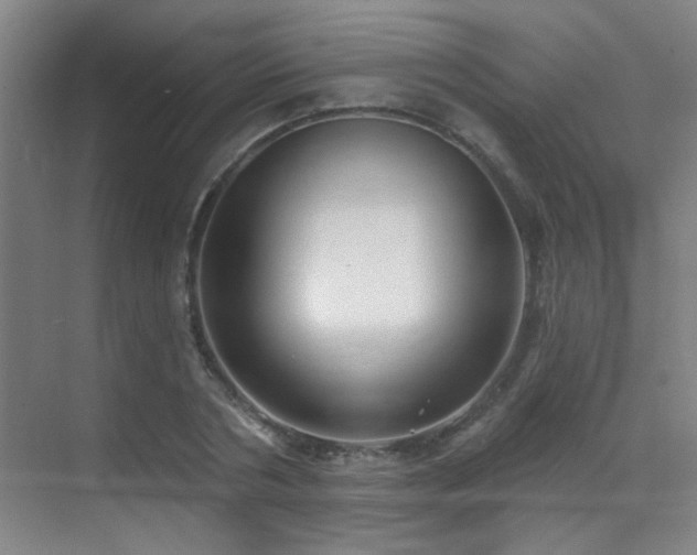 X0000070340786200606091025