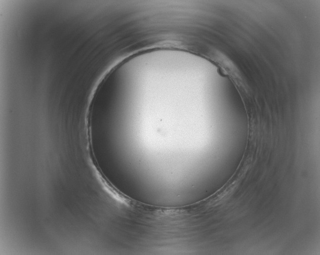 X0000070340808200606091024