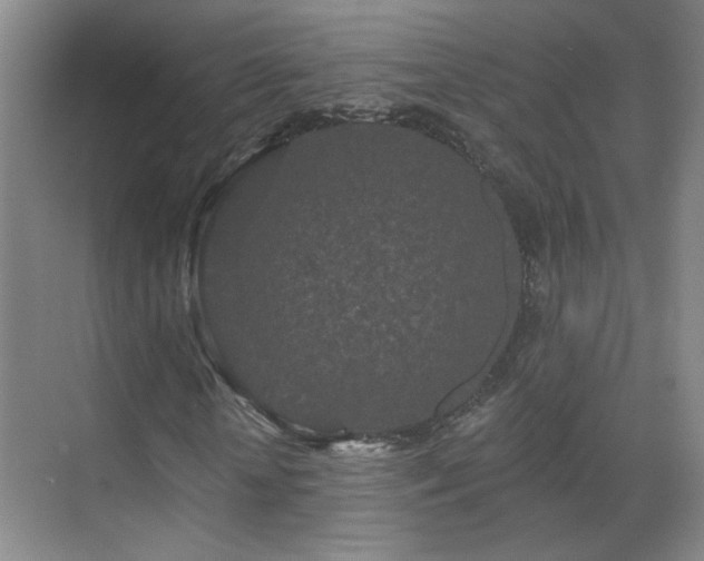 X0000070340818200606091024