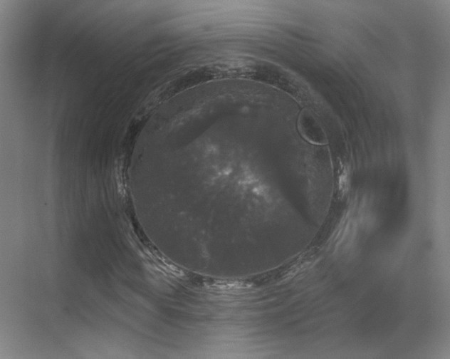 X0000070340819200606091024