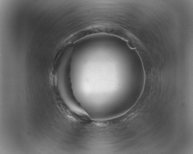 X0000070340822200606091024