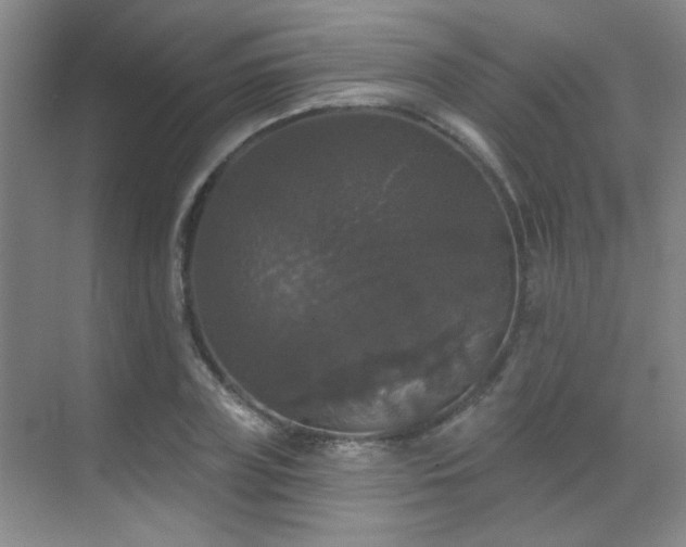 X0000070340835200606091024