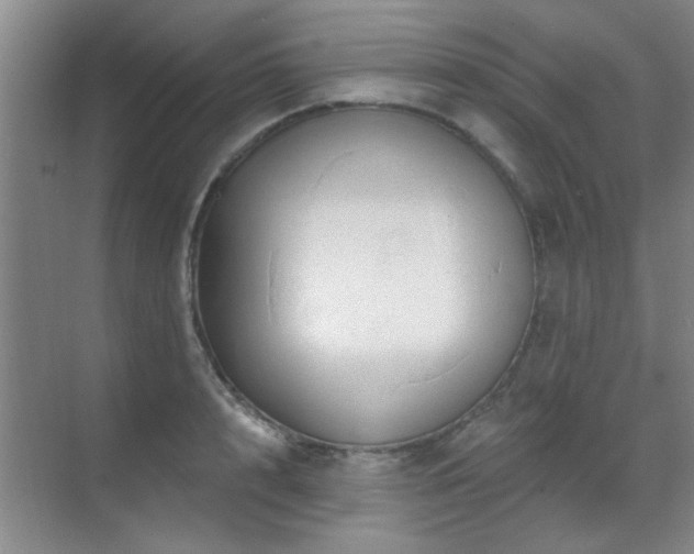 X0000070340848200606091024