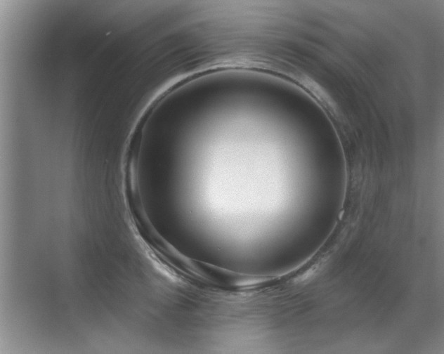 X0000070340854200606091024