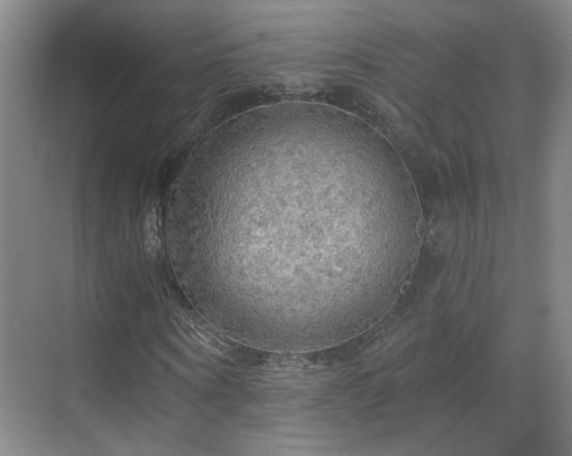 X0000070340866200606091023