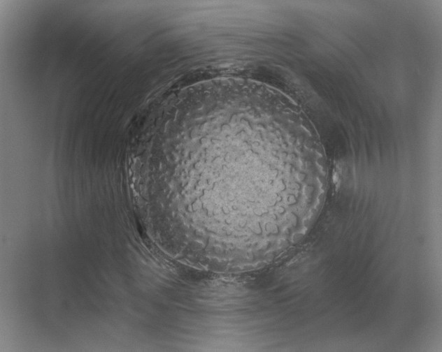 X0000070340867200606091023