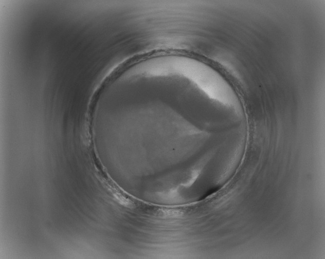 X0000070340878200606091023