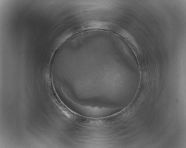 X0000070340882200606091023
