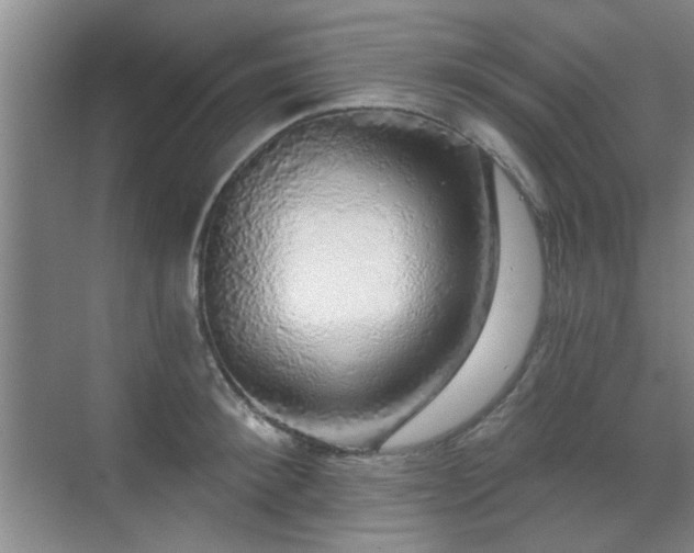 X0000070340900200606091023