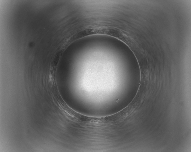 X0000070340914200606091022