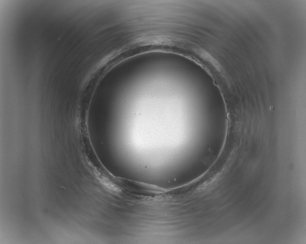 X0000070340922200606091022