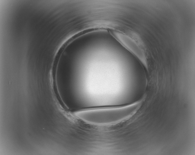 X0000070340936200606091022