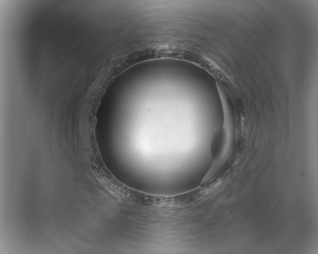 X0000070340961200606091022