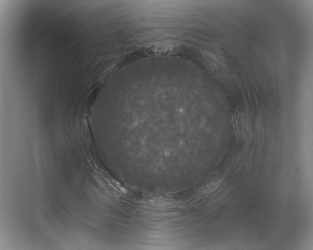 X0000070340962200606091022