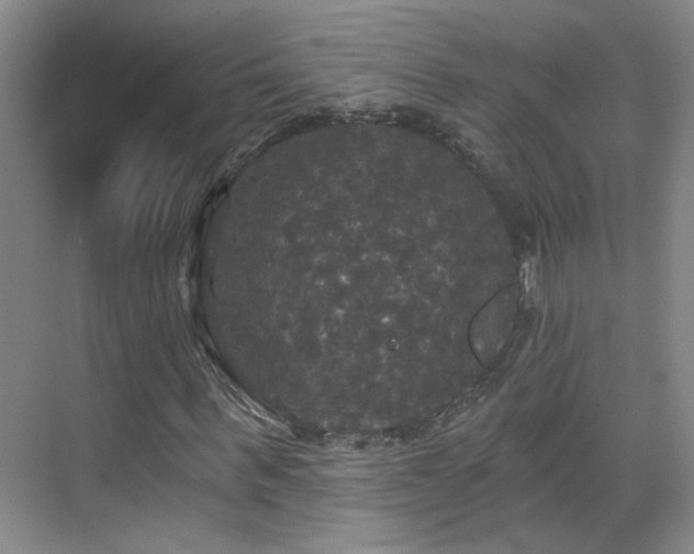 X0000070340963200606091022