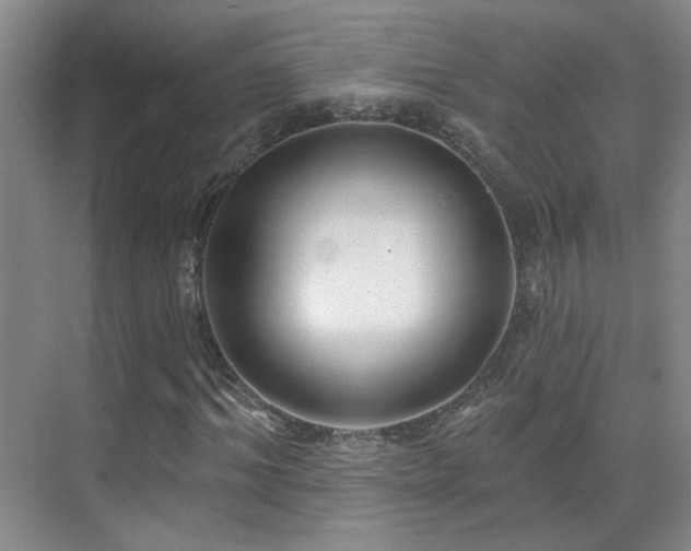 X0000070340964200606091022