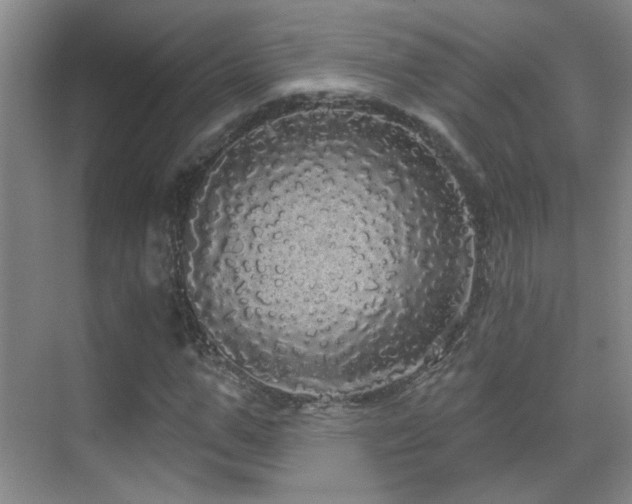 X0000070340967200606091022