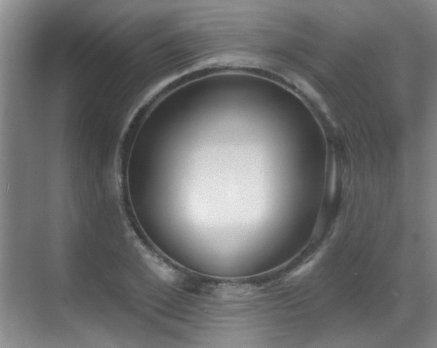 X0000070340981200606091022