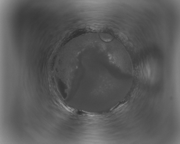 X0000070341009200606091020