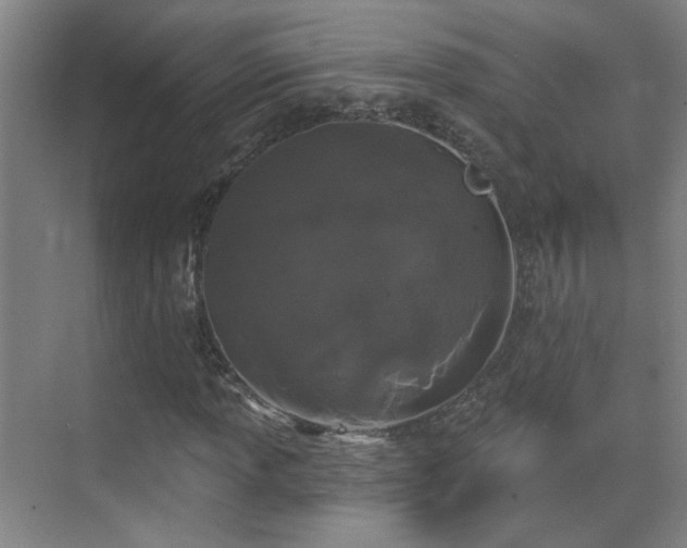 X0000070341013200606091020