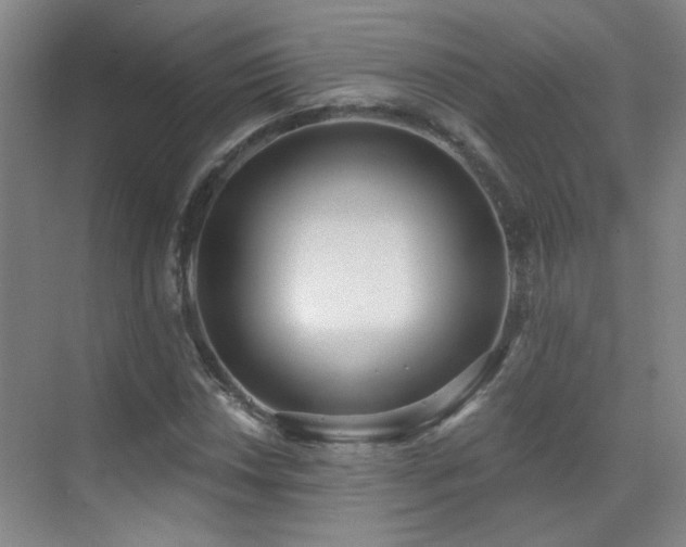 X0000070341018200606091020