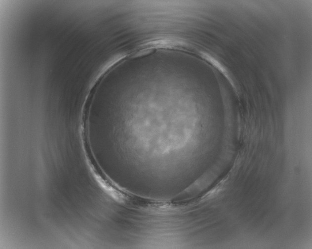 X0000070341042200606091021