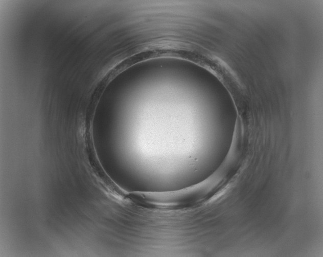 X0000070341065200606091020