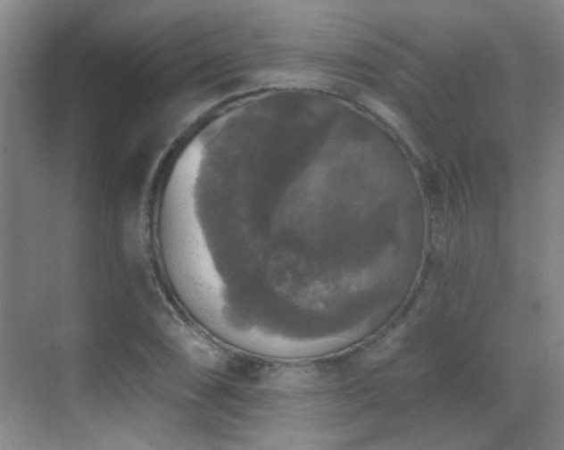 X0000070341074200606091020