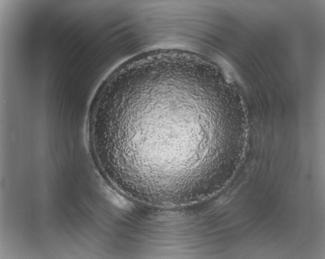 X0000070341076200606091020