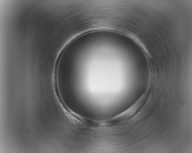 X0000070341101200606091020
