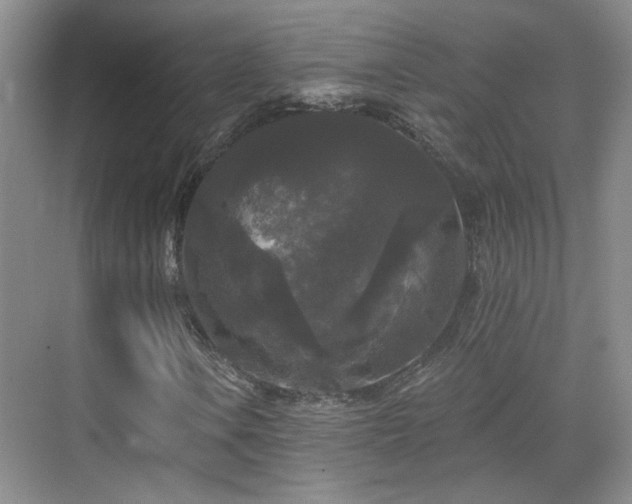X0000070341106200606091019